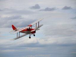 rodenberg2025 101